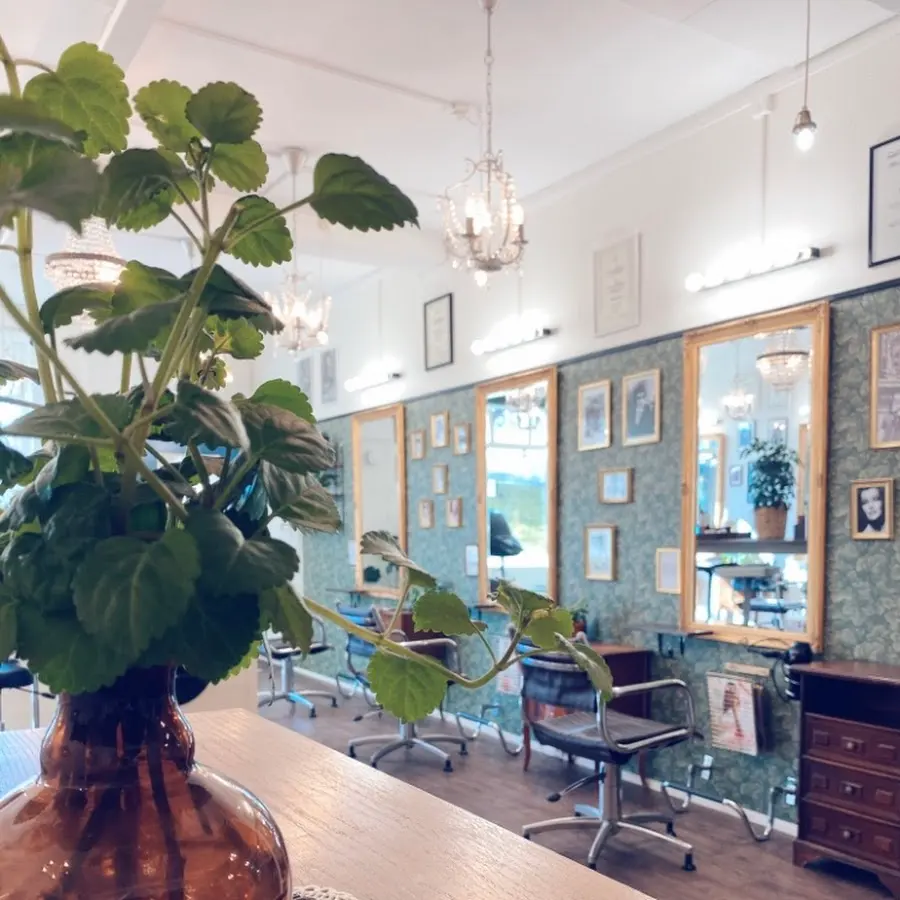 Foto från Cam & Co i Kalmar