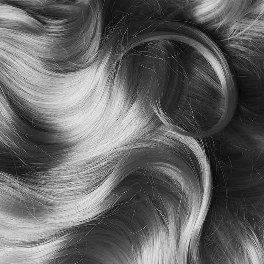 Foto från W Lounge i Stockholm