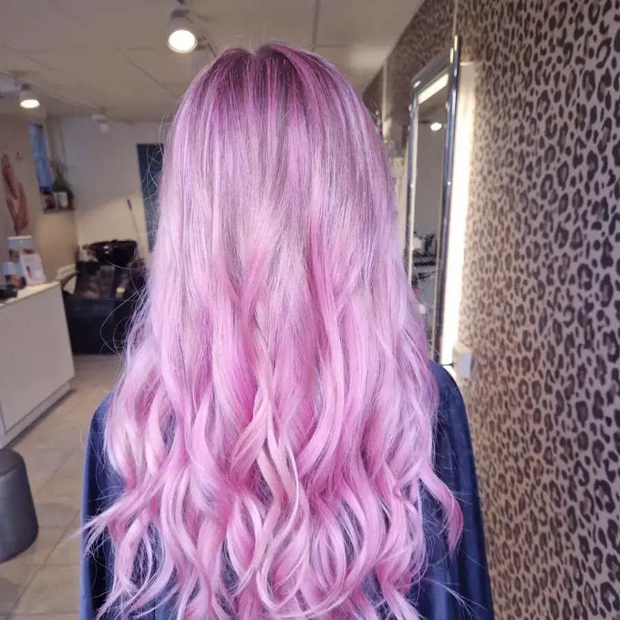 Foto från Shades of Colors AB i Östersund