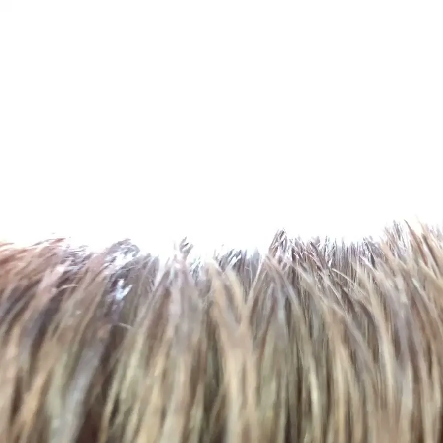 Foto från Shiraz Salong i Kalmar