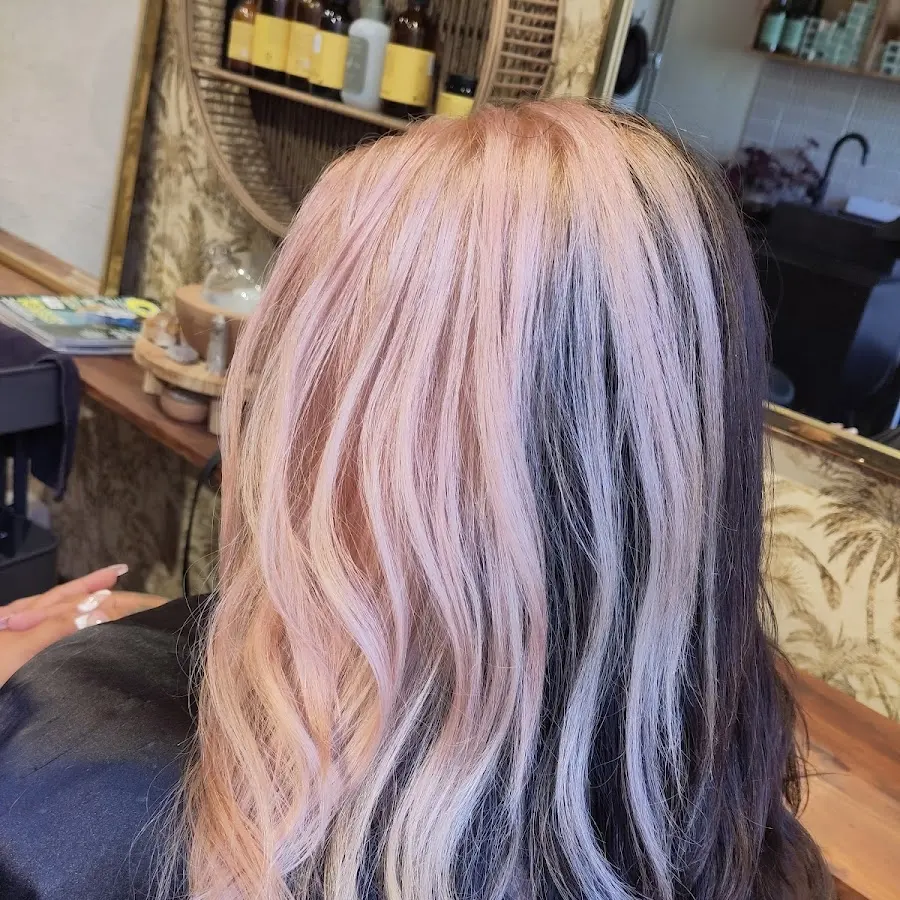 Foto från Mold i Huddinge